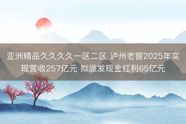 亚洲精品久久久久一区二区 泸州老窖2025年实现营收257亿元 拟派发现金红利65亿元