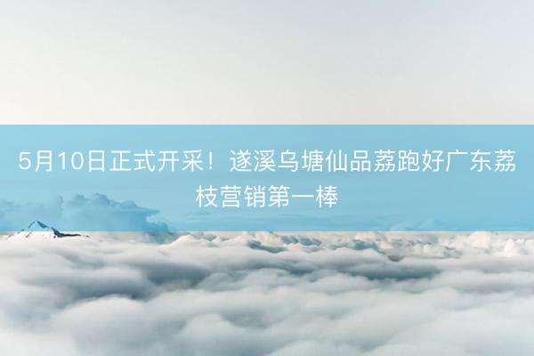 5月10日正式开采！遂溪乌塘仙品荔跑好广东荔枝营销第一棒