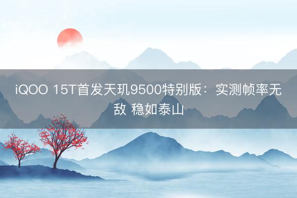 iQOO 15T首发天玑9500特别版：实测帧率无敌 稳如泰山