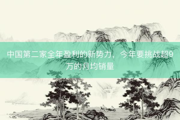中国第二家全年盈利的新势力，今年要挑战超9万的月均销量