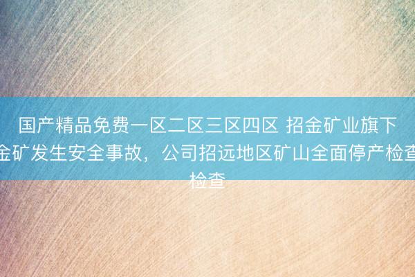 国产精品免费一区二区三区四区 招金矿业旗下金矿发生安全事故，公司招远地区矿山全面停产检查