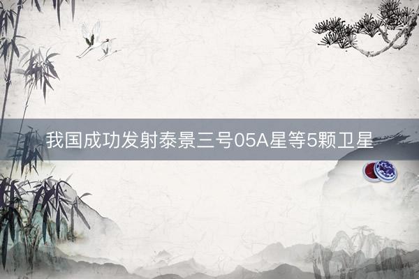 我国成功发射泰景三号05A星等5颗卫星