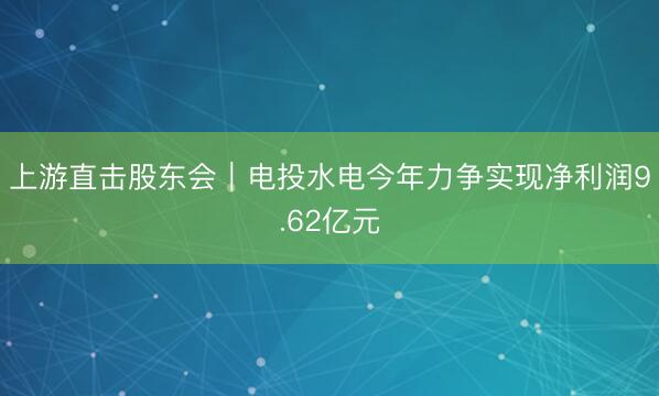 上游直击股东会｜电投水电今年力争实现净利润9.62亿元