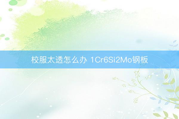 校服太透怎么办 1Cr6Si2Mo钢板