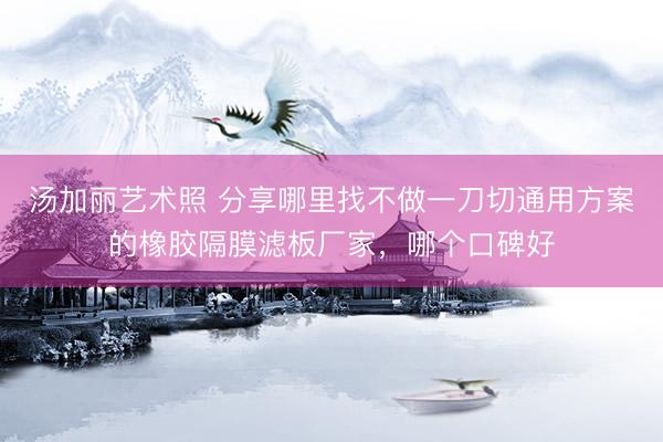 汤加丽艺术照 分享哪里找不做一刀切通用方案的橡胶隔膜滤板厂家，哪个口碑好
