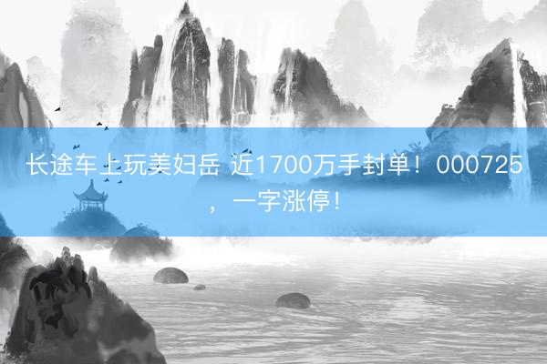 长途车上玩美妇岳 近1700万手封单！000725，一字涨停！