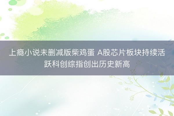 上瘾小说未删减版柴鸡蛋 A股芯片板块持续活跃科创综指创出历史新高