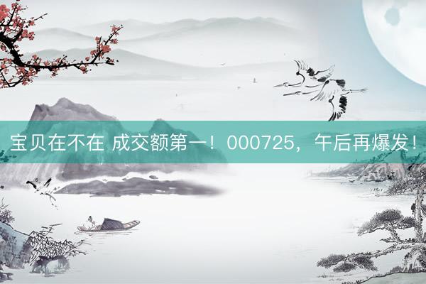 宝贝在不在 成交额第一！000725，午后再爆发！