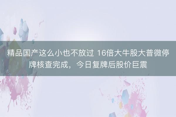 精品国产这么小也不放过 16倍大牛股大普微停牌核查完成，今日复牌后股价巨震