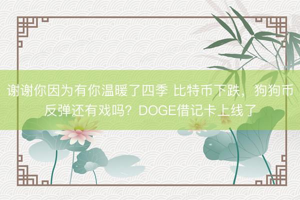 谢谢你因为有你温暖了四季 比特币下跌，狗狗币反弹还有戏吗？DOGE借记卡上线了