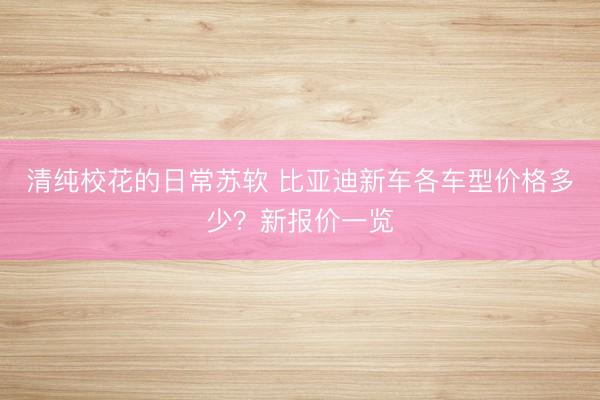 清纯校花的日常苏软 比亚迪新车各车型价格多少？新报价一览
