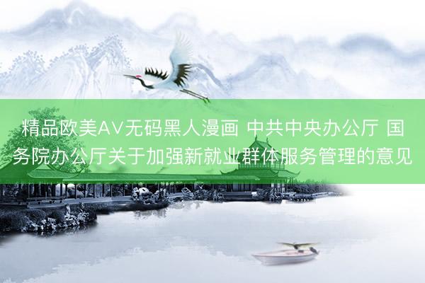 精品欧美А∨无码黑人漫画 中共中央办公厅 国务院办公厅关于加强新就业群体服务管理的意见