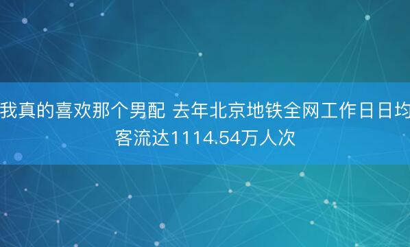 我真的喜欢那个男配 去年北京地铁全网工作日日均客流达1114.54万人次