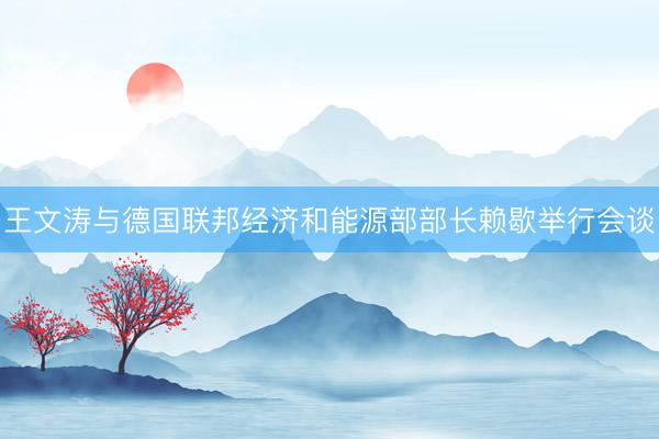 王文涛与德国联邦经济和能源部部长赖歇举行会谈