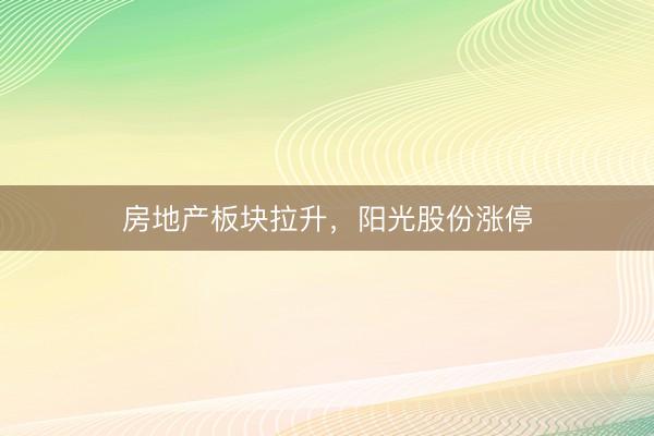 房地产板块拉升，阳光股份涨停