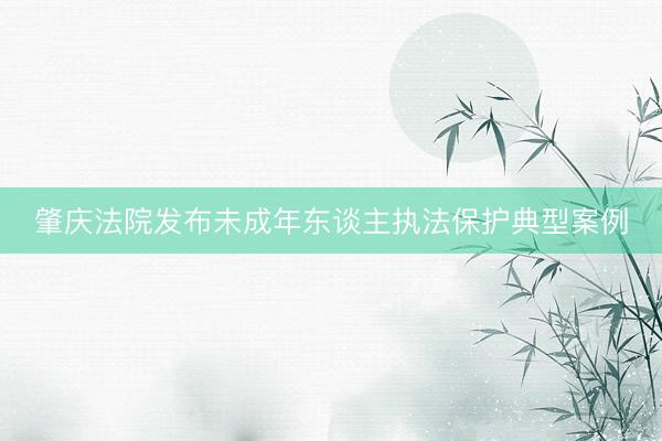 肇庆法院发布未成年东谈主执法保护典型案例