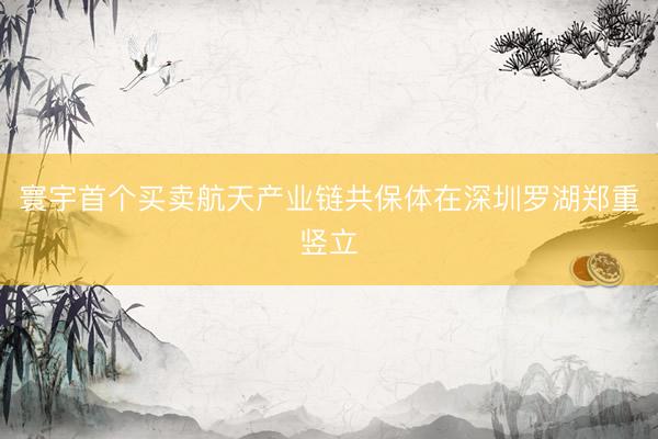 寰宇首个买卖航天产业链共保体在深圳罗湖郑重竖立