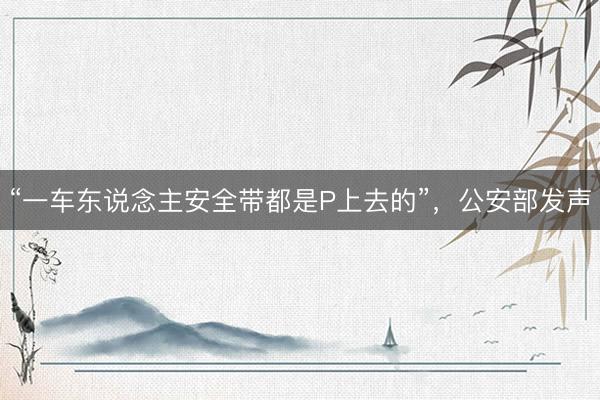 “一车东说念主安全带都是P上去的”，公安部发声