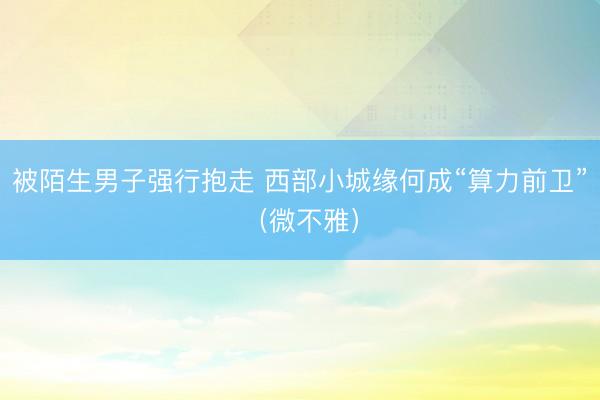被陌生男子强行抱走 西部小城缘何成“算力前卫”（微不雅）