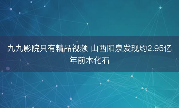 九九影院只有精品视频 山西阳泉发现约2.95亿年前木化石