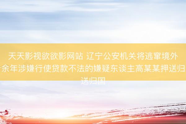天天影视欲欲影网站 辽宁公安机关将逃窜境外十余年涉嫌行使贷款不法的嫌疑东谈主高某某押送归国