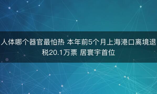 人体哪个器官最怕热 本年前5个月上海港口离境退税20.1万票 居寰宇首位