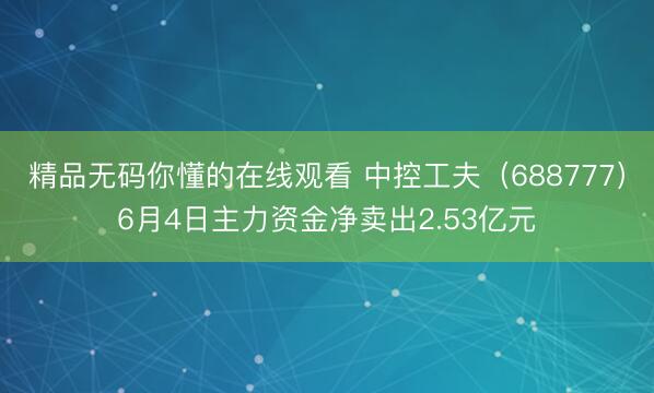 精品无码你懂的在线观看 中控工夫（688777）6月4日主力资金净卖出2.53亿元