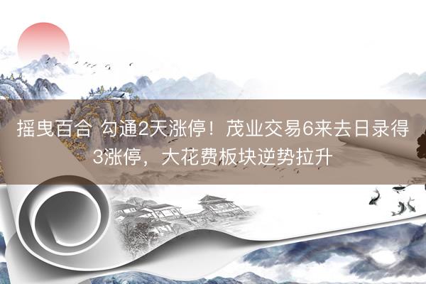 摇曳百合 勾通2天涨停！茂业交易6来去日录得3涨停，大花费板块逆势拉升