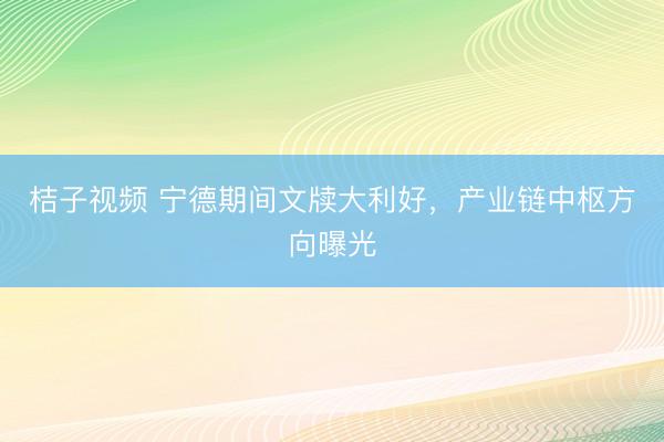 桔子视频 宁德期间文牍大利好，产业链中枢方向曝光