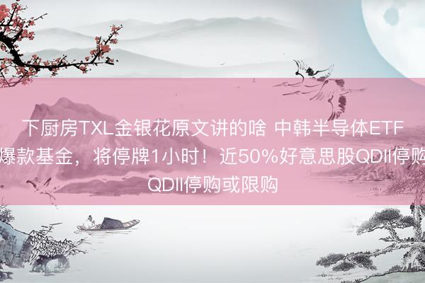 下厨房TXL金银花原文讲的啥 中韩半导体ETF等多只爆款基金，将停牌1小时！近50%好意思股QDII停购或限购