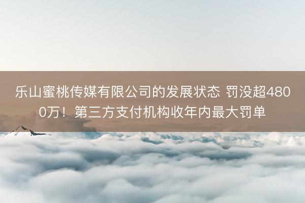 乐山蜜桃传媒有限公司的发展状态 罚没超4800万!第三方支付机构收年内最大罚单