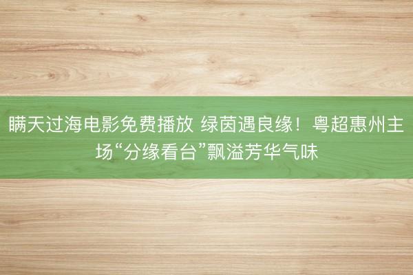 瞒天过海电影免费播放 绿茵遇良缘！粤超惠州主场“分缘看台”飘溢芳华气味