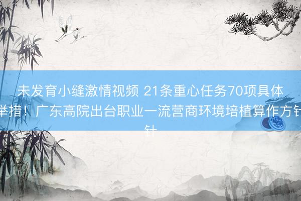 未发育小缝激情视频 21条重心任务70项具体举措！广东高院出台职业一流营商环境培植算作方针