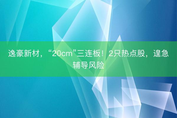 逸豪新材，“20cm”三连板！2只热点股，遑急辅导风险