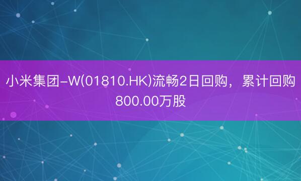 小米集团-W(01810.HK)流畅2日回购，累计回购800.00万股