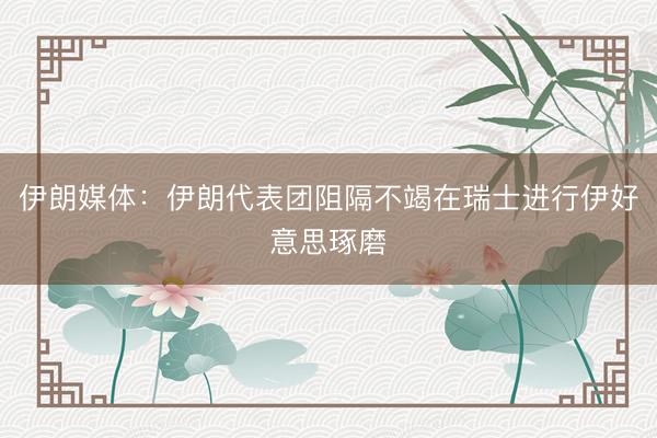 伊朗媒体：伊朗代表团阻隔不竭在瑞士进行伊好意思琢磨