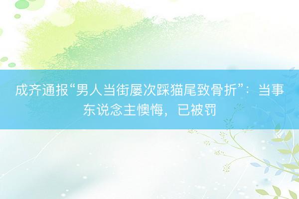成齐通报“男人当街屡次踩猫尾致骨折”：当事东说念主懊悔，已被罚