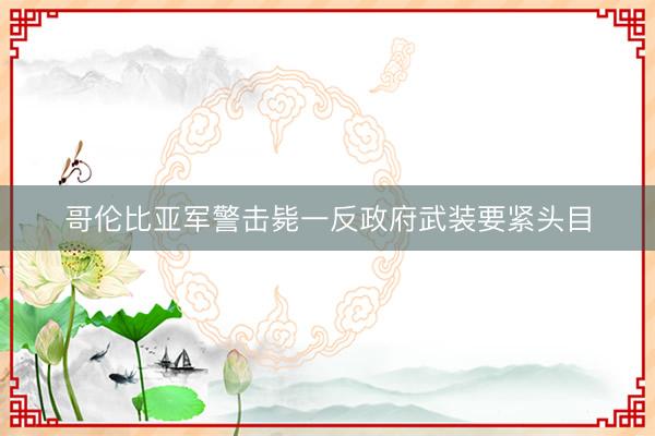 哥伦比亚军警击毙一反政府武装要紧头目