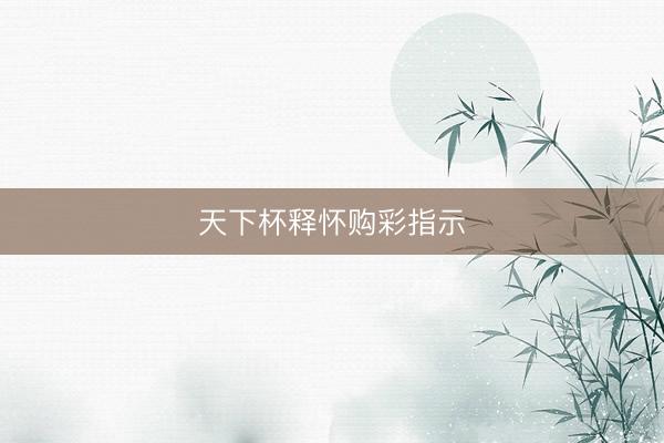 天下杯释怀购彩指示