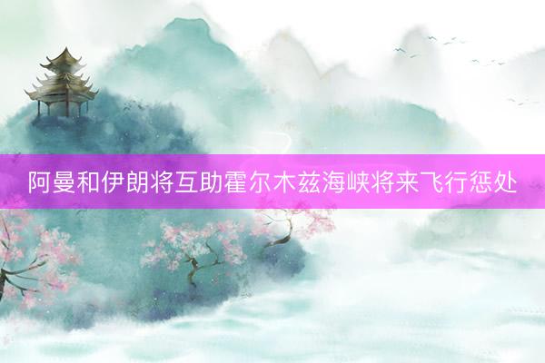 阿曼和伊朗将互助霍尔木兹海峡将来飞行惩处